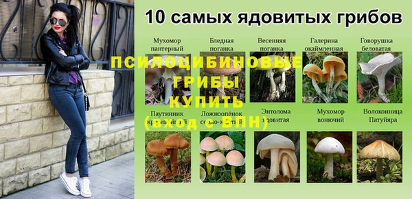 тгк Баксан